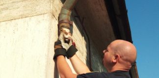 In die Röhre geschaut! Katzenrettung in Kiskőrös