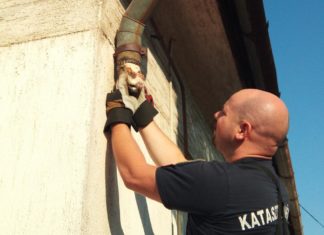 In die Röhre geschaut! Katzenrettung in Kiskőrös