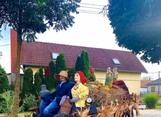 Der Herbst ist auch in Ungarn angekommen