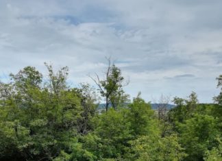 Kőtenger – Das Felsenmeer bei Tapolca