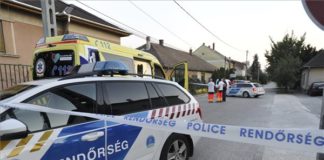 Mord in Vecsés: Ein Streit wurde zum Mord