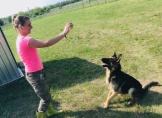 Tierschutz Ungarn – Feliciti