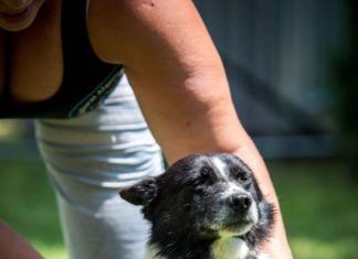 Tierschutz Ungarn: Santo