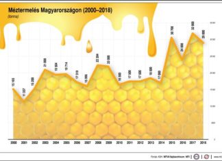 Honigproduktion in Ungarn
