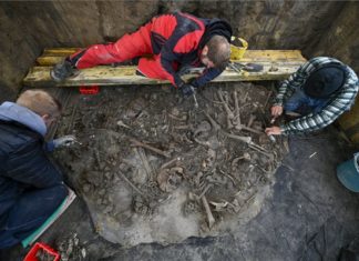 Bei Tiszafüred wurde ein Massengrab aus der Bronzezeit gefunden