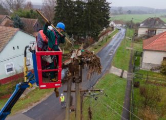 Storchennester stabilisiert und erneuert