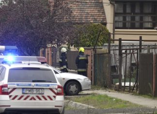 Budapest: Familie wird mit Kohlenmonoxidvergiftung ins Krankenhaus gebracht