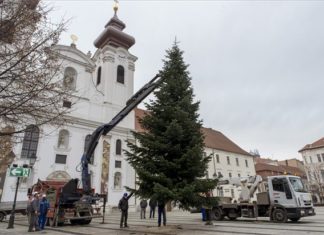 Weihnachtsbaum der Stadt Győr steht