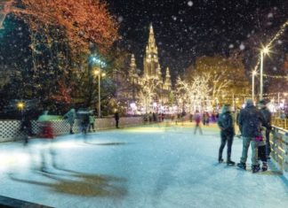 Blick über den Zaun: Weihnachtsinspirationen aus Wien