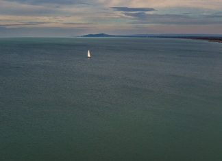 Frühlingshaft im Winter am Balaton