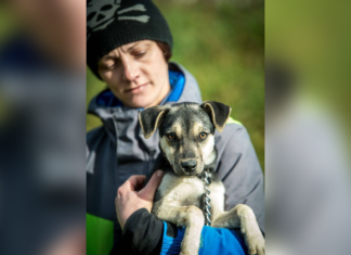 Tierschutz Ungarn: Tizzy