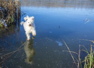 Der Winter ist da!
