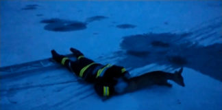 Reh auf Eis gerettet