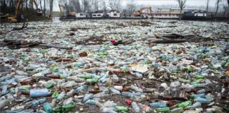 Überschwemmung der Theiß: Riesige Abfallberge!