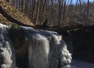 Wandertipp im Mecsek Gebirge