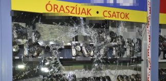 Wie im Film: Räuber versteckt sich hinter einer Thuja