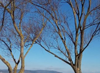 Frostig Faszinierend! Eisiger Balaton