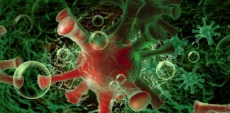 COVID Neuinfektionen steigen wieder an in Ungarn