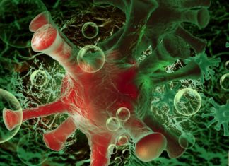 COVID Neuinfektionen steigen wieder an in Ungarn