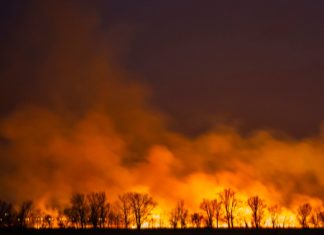 Fonyod: Schilfgebiet am Balaton in Flammen!