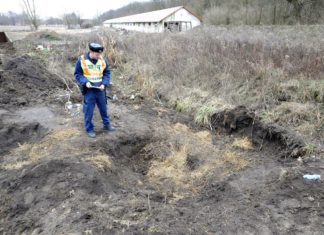 Leichenfund in Veresegyháza: 49-jähriger Mann festgenommen