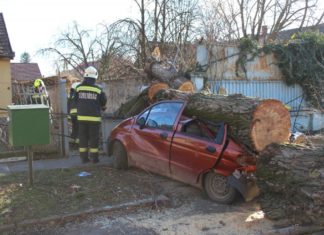 Schwere Winde bescheren Feuerwehr viel Arbeit