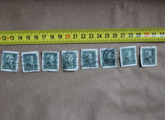 Auf frischer Tat ertappt: Junge Einbrecher wurden gefasst