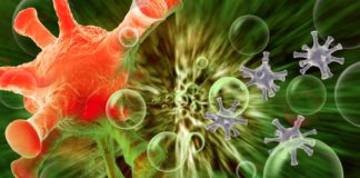 Infektionszahlen in Ungarn: Dritte Welle trifft mit voller Wucht!