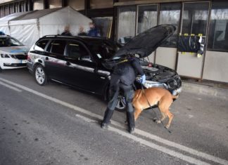 Grenze: Mann wollte mit fast sechs Kilo Drogen nach Ungarn einreisen