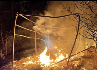 Tödliches Feuer in Pécs