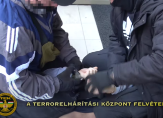Polnischer Verbrecher in Budapest gefasst