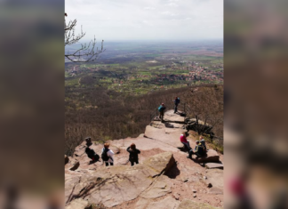 Hoch oben auf dem Jakab Hegy