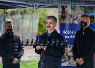 Geld für den Tierschutz in Ungarn