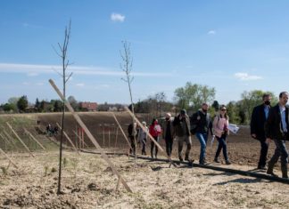 Kecskemét: Neuer Botanischer Garten