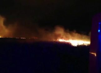 Wieder großer Schilfbrand am Balaton!