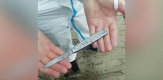 Taxifahrer halten zusammen! Räuber wurde gefasst