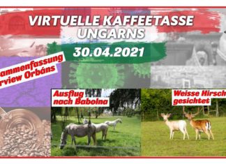 Virtuelle Kaffeetasse Ungarns am 30.04.2021