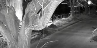 Unglaublich! Unterlassene Hilfe führt zum Tod