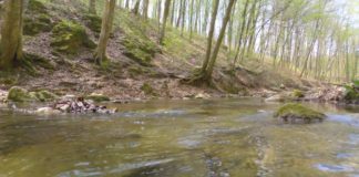 Das Römische Bad im Bakonygebirge?