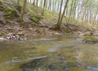 Das Römische Bad im Bakonygebirge?