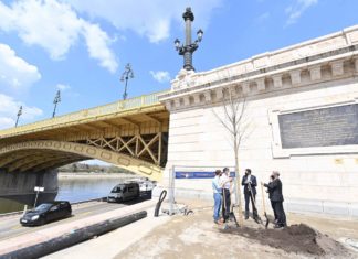 Baum zur Erinnerung an die Opfer des Schiffsunglücks