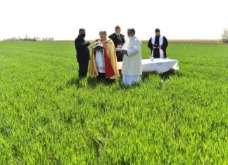 Hier wird der Weizen gesegnet!