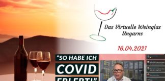 Das Virtuelle Weinglas Ungarns am 16.04.2021