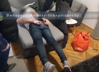 Millionen Betrug – Täter wurden gefasst