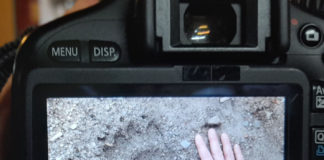 Bärenfußabdruck in Diósjenő