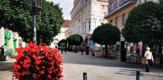 Die Innenstadt von Györ wird immer grüner