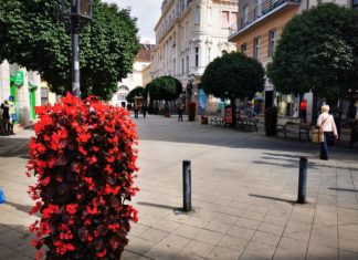 Die Innenstadt von Györ wird immer grüner