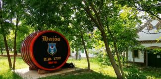 Fahrt ihr mit durch das Weinkellerdorf Hajós?