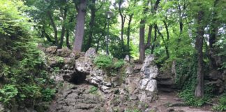 Der Englische Park in Tata