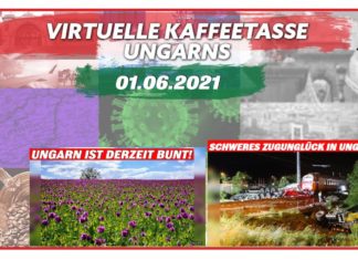 Virtuelle Kaffeetasse Ungarns am 01.06.2021